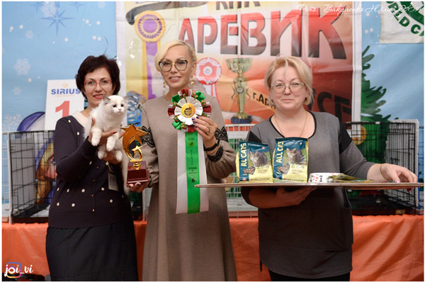 img-armavir-jan-2019-w10-600.jpg