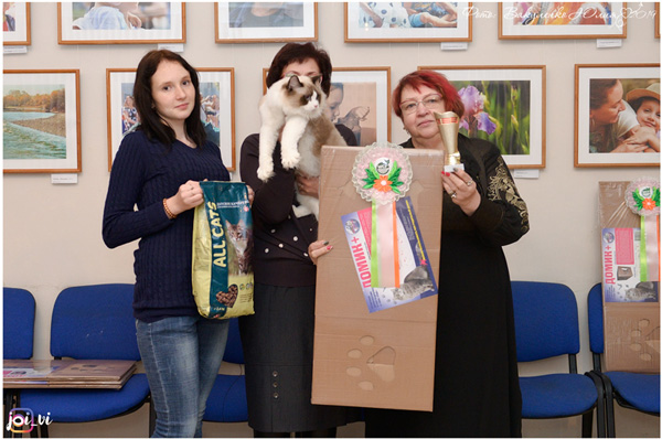 img-armavir-jan-2019-w13-600.jpg