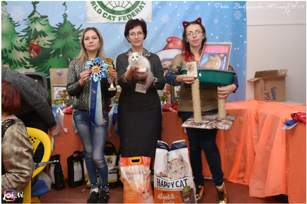 img-armavir-jan-2019-w14-600.jpg