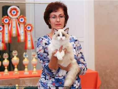 img-nevinnomysk-oct2018-w19-min.jpg