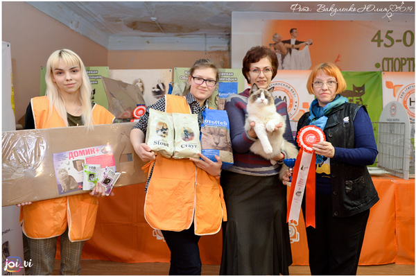img-stavropol-feb2019-w10-600.jpg