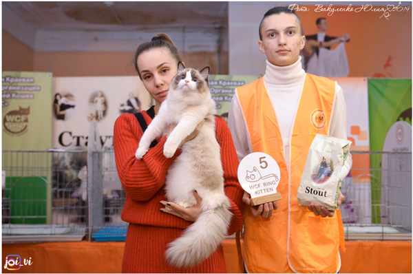 img-stavropol-feb2019-w12-600.jpg