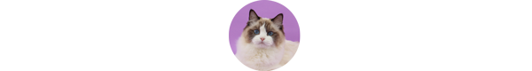 img-w-expert.png