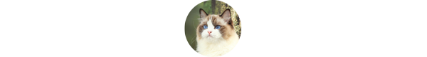 img-w2-expert.png