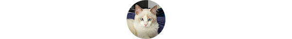 img-GLORIA-piatigorsk-w1.png
