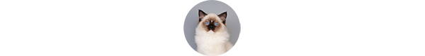 img-HERKULES-klient-w1.png