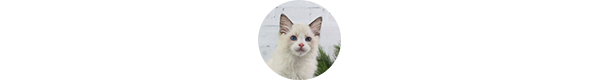 img-kristofer-solnechnodolsk-w1.png