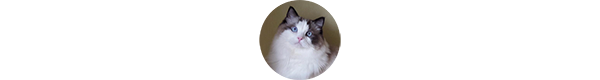 img-LEO-klient-w1.png