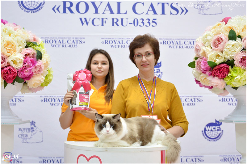 img-piatigorsk-apr2019-w7-600.jpg