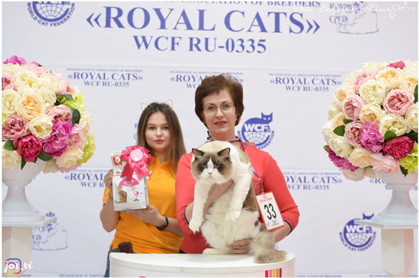 img-piatigorsk-apr2019-w9-600.jpg