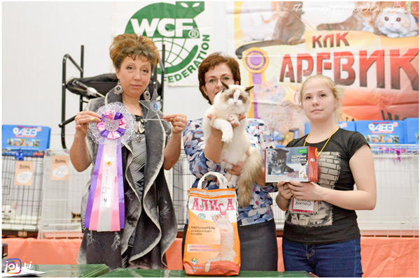 img-cherkessk27_28-04-19-w10-min.jpg