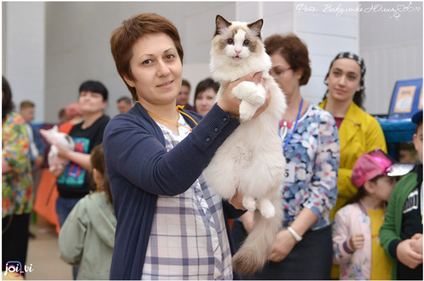 img-cherkessk27_28-04-19-w11-min.jpg