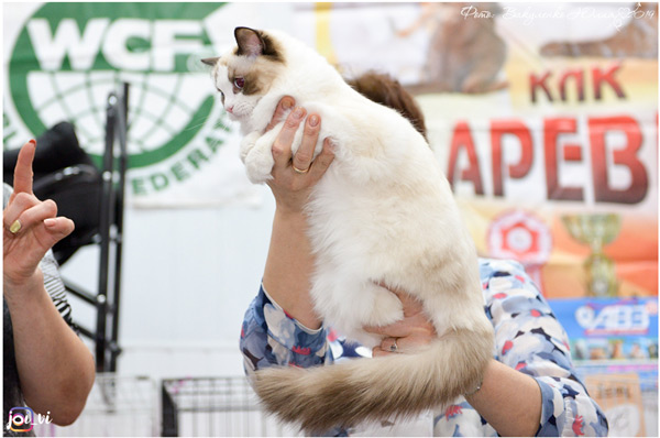 img-cherkessk27_28-04-19-w6-min.jpg