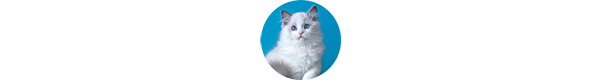 img-leticia-w2.png