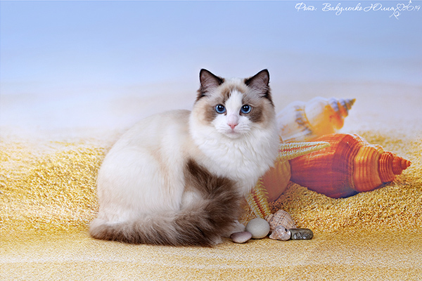 img-linda-w1.jpg