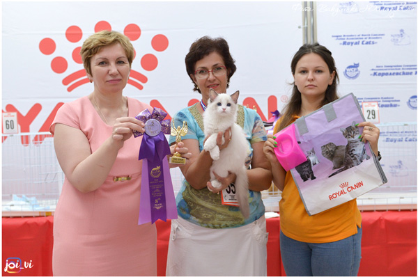 img-piatigorsk-avg2019-w10-min.jpg