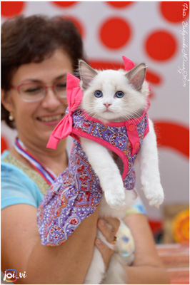 img-piatigorsk-avg2019-w11-min.jpg