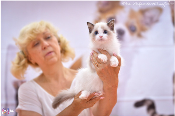 img-piatigorsk-avg2019-w12-min.jpg