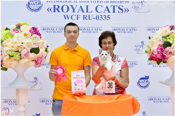 img-piatigorsk-avg2019-w14-min.jpg