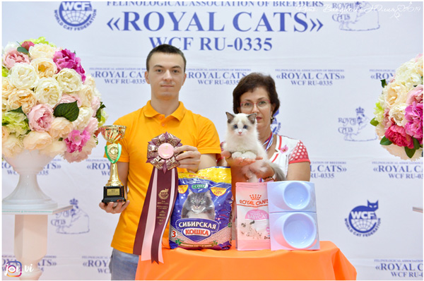 img-piatigorsk-avg2019-w15-min.jpg