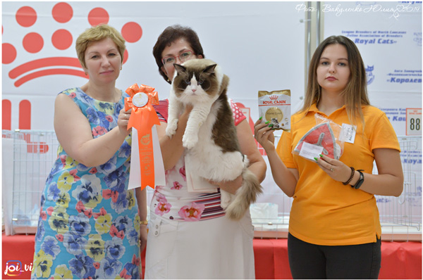 img-piatigorsk-avg2019-w16-min.jpg
