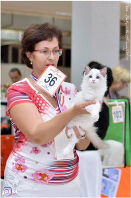 img-piatigorsk-avg2019-w17-min.jpg