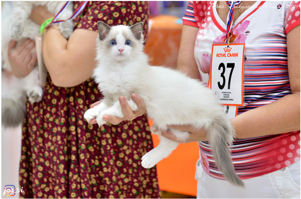 img-piatigorsk-avg2019-w18-min.jpg
