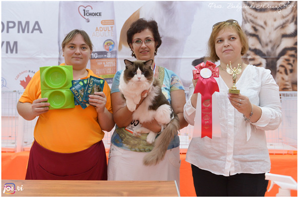 img-piatigorsk-avg2019-w19-min.jpg