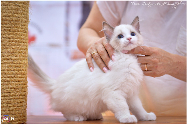 img-piatigorsk-avg2019-w2-min.jpg