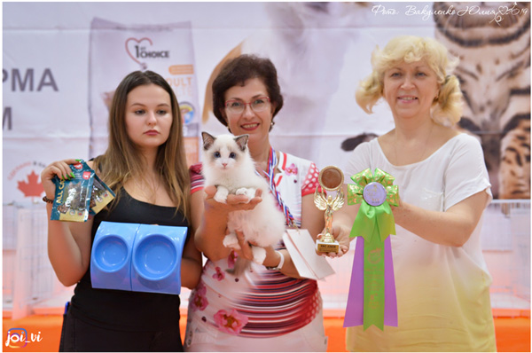 img-piatigorsk-avg2019-w20-min.jpg