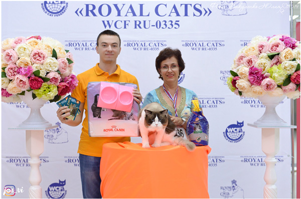 img-piatigorsk-avg2019-w21-min.jpg