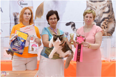 img-piatigorsk-avg2019-w4-min.jpg