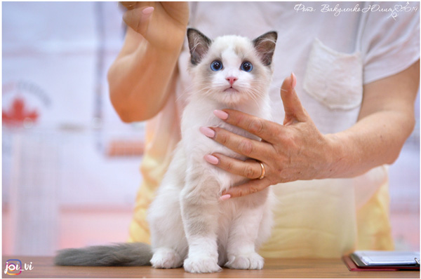 img-piatigorsk-avg2019-w6-min.jpg