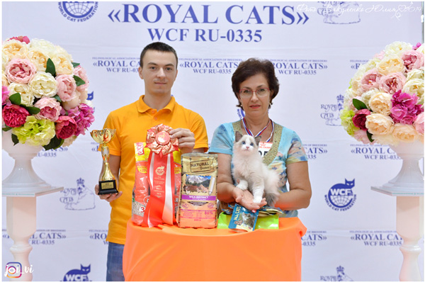 img-piatigorsk-avg2019-w7-min.jpg
