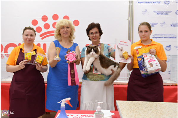 img-piatigorsk-avg2019-w8-min.jpg