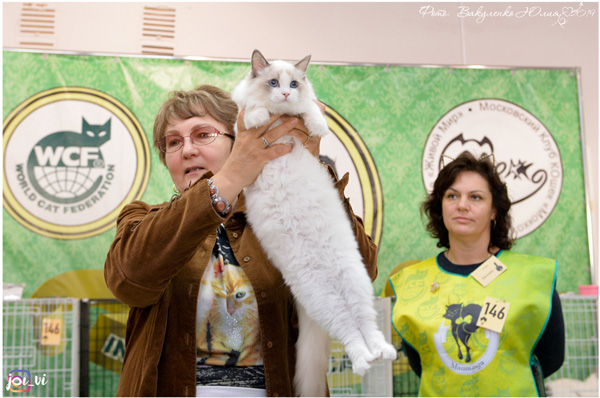 img-armavir-12oct2019-w7min.jpg