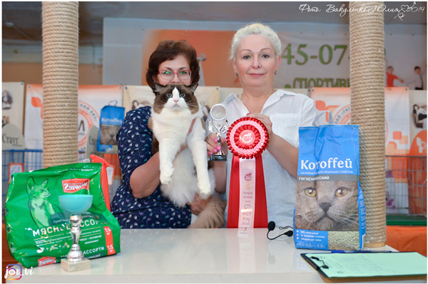img-stavropol-05oct-2019-w2-min.jpg