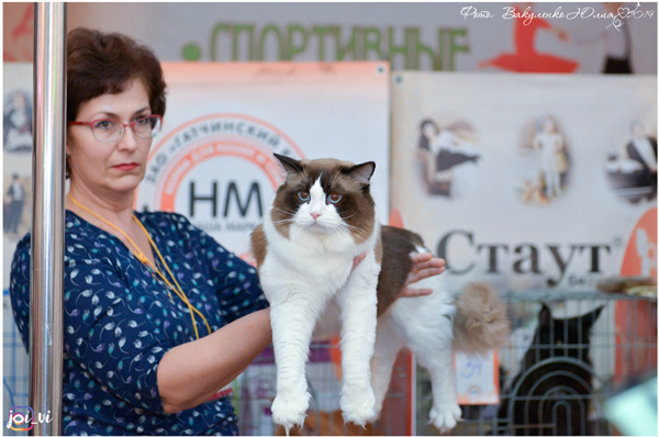 img-stavropol-05oct-2019-w4-min.jpg