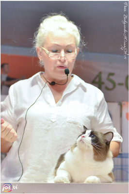 img-stavropol-05oct-2019-w7-min.jpg