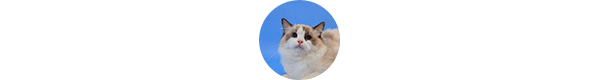 img-gorgetta-klient-w1.png