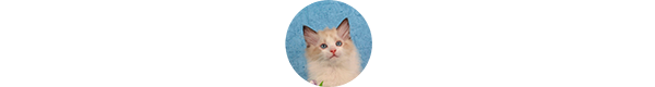 img-kasper-klient-w1.png
