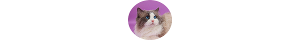 img-krach-klient-w1.png