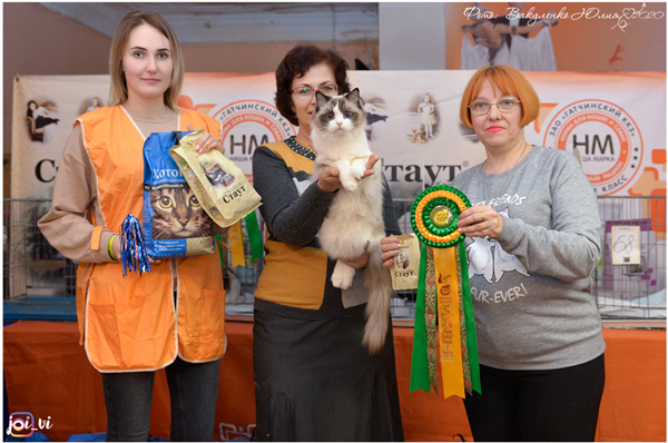 img-stavropol-w3min.jpg